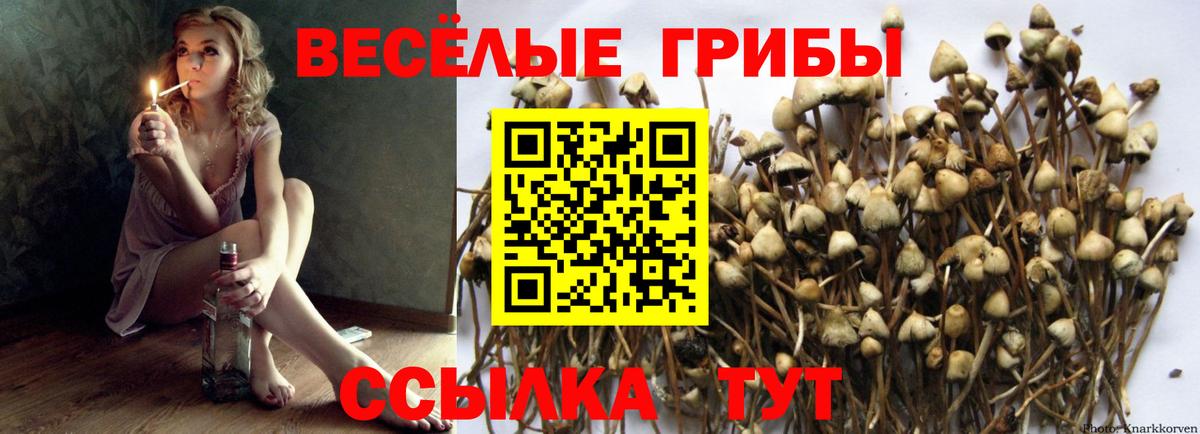 Псилоцибиновые грибы GOLDEN TEACHER Шахты